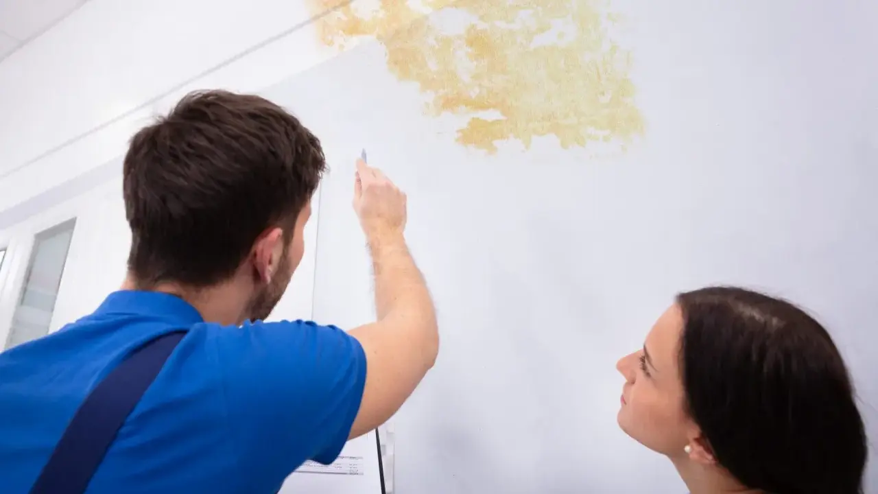Mann prüft Stockflecken an der Wand, um sie zu entfernen. Eine Frau schaut besorgt zu.