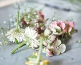Zutaten für einen Blumenkranz: weiße Blüten, rosa Hortensien und zarte Schleierkräuter liegen bereit.