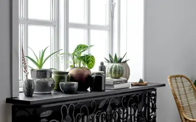 Grüne Pflanzen und Deko-Objekte schmücken die Fensterbank. Ein Aloe Vera und eine Calathea sorgen für frisches Grün. Die Fensterbank dekorieren mit stilvollen Vasen und Büchern.