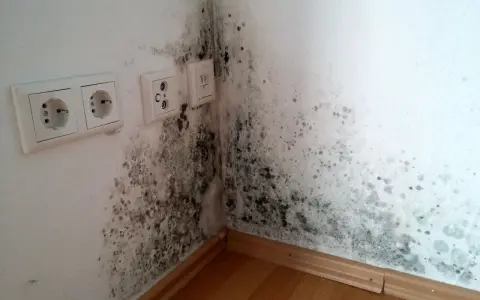 Anfangsstadium Stockflecken Wand: Dunkle Flecken breiten sich in der Ecke einer weißen Wand aus, neben Steckdosen und einem Fensterrahmen.