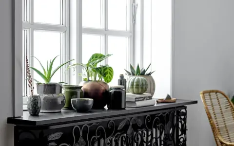 Grüne Pflanzen und Deko-Objekte schmücken die Fensterbank. Ein Aloe Vera und eine Calathea sorgen für frisches Grün. Die Fensterbank dekorieren mit stilvollen Vasen und Büchern.