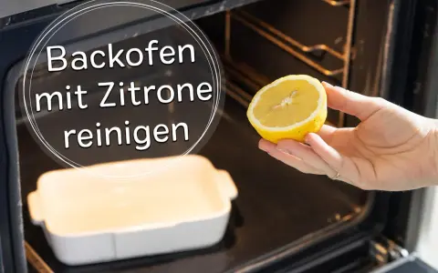 Backofen reinigen mit Zitrone: Eine Hand hält eine Zitronenhälfte über einer Auflaufform im dunklen Backofen.