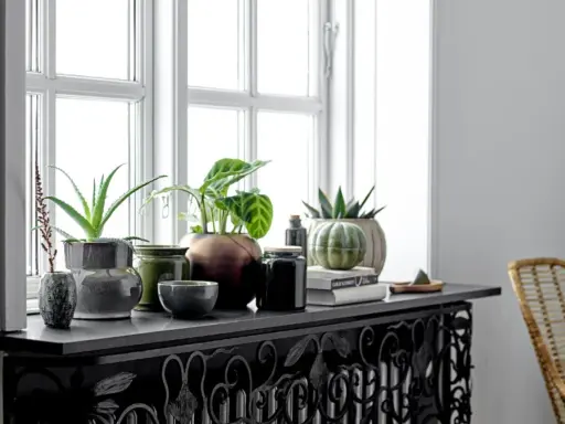 Grüne Pflanzen und Deko-Objekte schmücken die Fensterbank. Ein Aloe Vera und eine Calathea sorgen für frisches Grün. Die Fensterbank dekorieren mit stilvollen Vasen und Büchern.