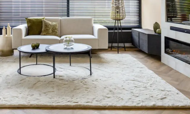 Ein heller, flauschiger Teppich liegt vor einem Sofa und einem Kamin. So wird der Teppich wieder flauschig gemacht.