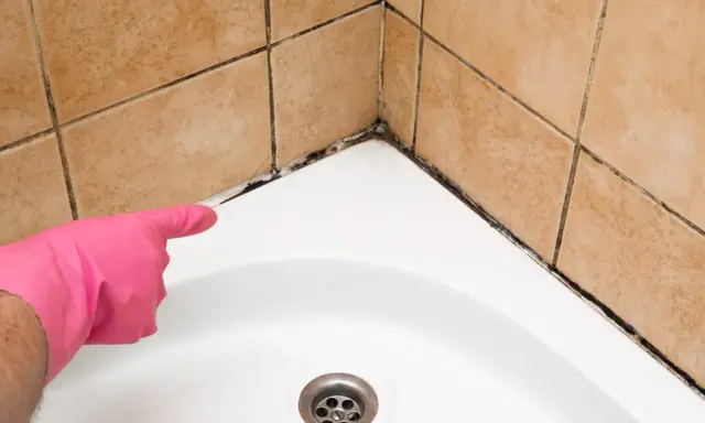 Mit rosa Handschuh wird auf stark verschmutzte Dusche reinigen hingewiesen. Schimmel und Dreck in den Fugen.
