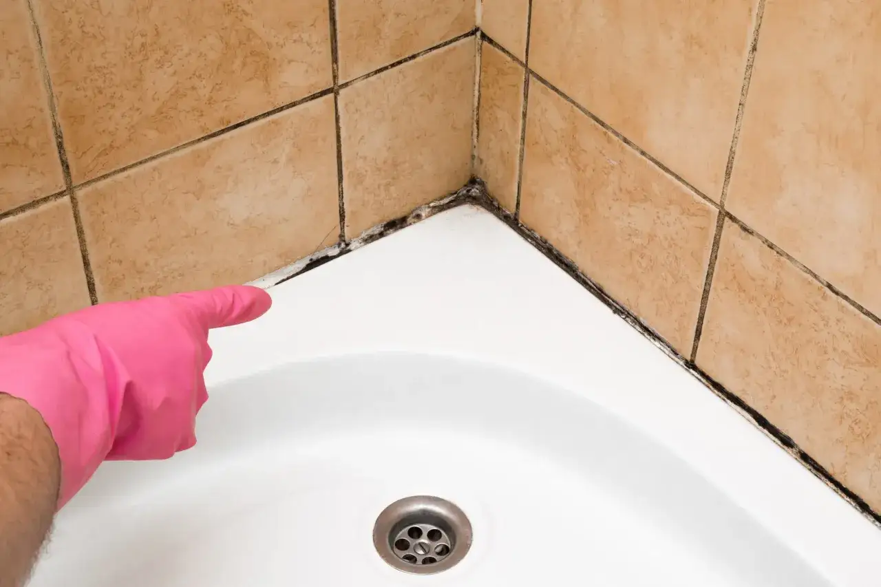 Pink-gloved hand points to black mold in a stark verschmutzte dusche reinigen.