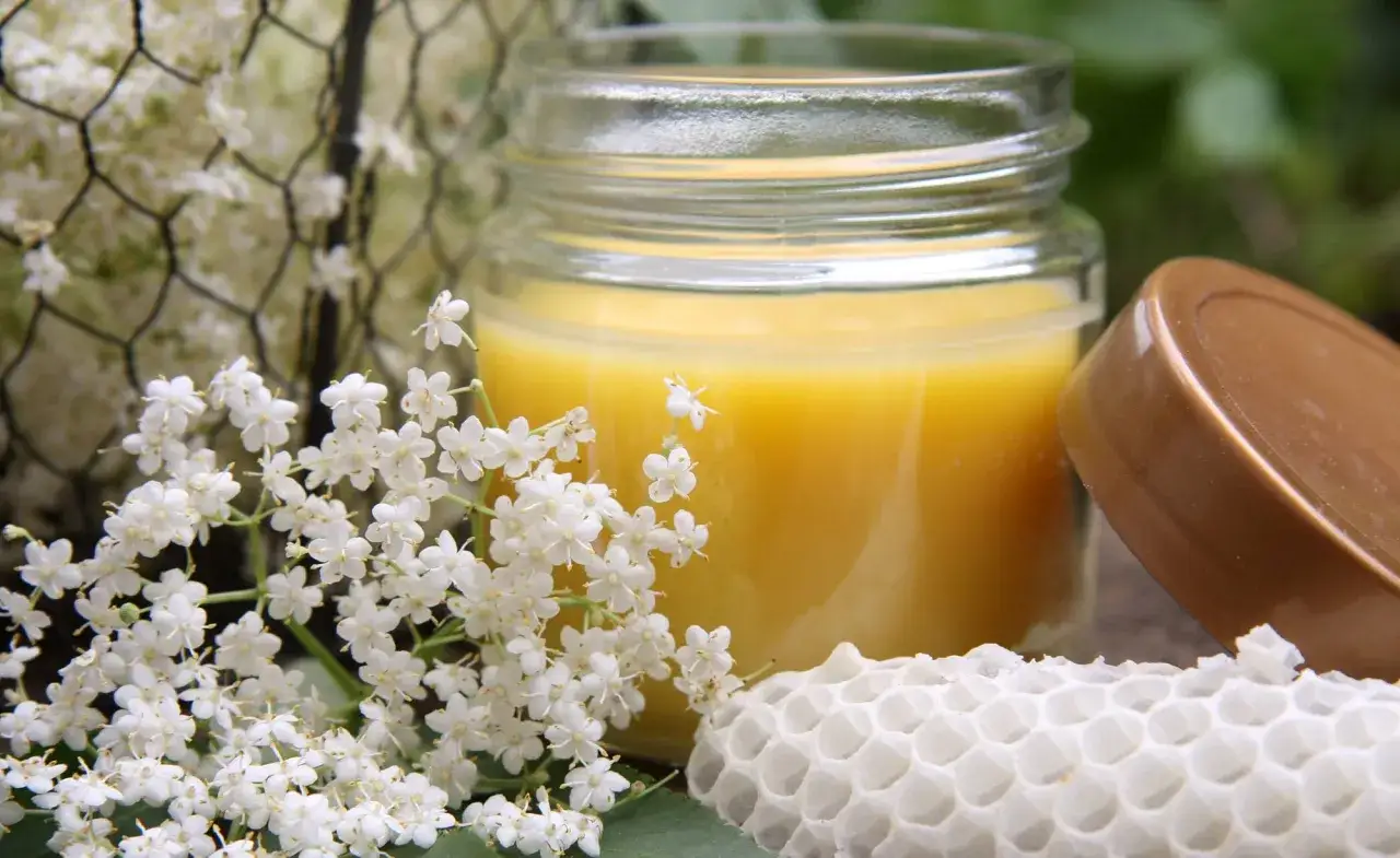 Glas mit gelber Creme, Holunderbl&uuml;ten und Bienenwabe &ndash; perfekt f&uuml;r handcreme selber machen.