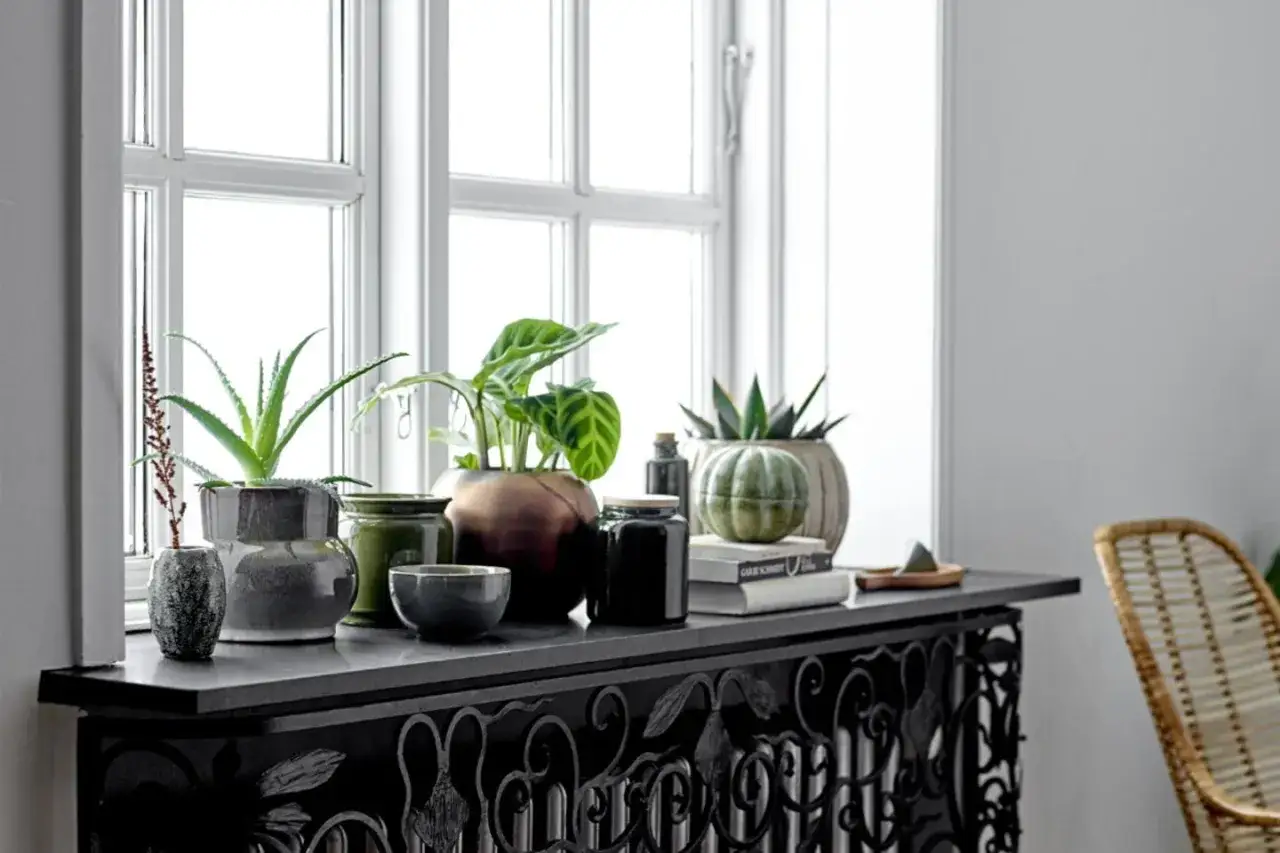 Grüne Pflanzen und Deko-Objekte beleben die Fensterbank. Ein Aloe Vera und eine Calathea sind die Stars, die die Fensterbank dekorieren.