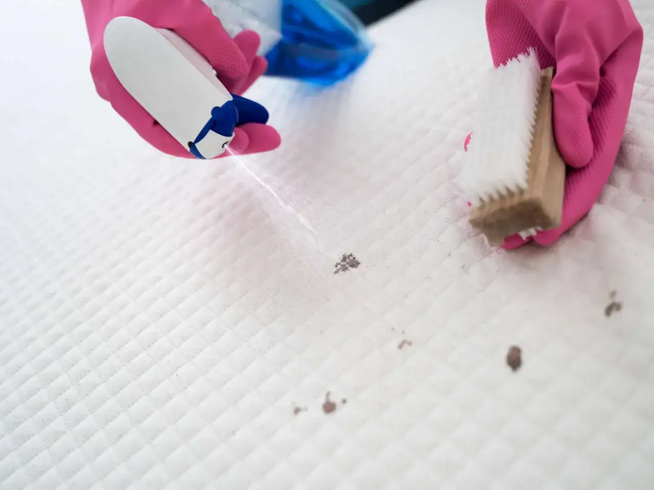 H&auml;nde in pinken Handschuhen spr&uuml;hen Reinigungsmittel auf Flecken auf einer wei&szlig;en Matratze und schrubben sie mit einer B&uuml;rste. Matratze reinigen leicht gemacht.