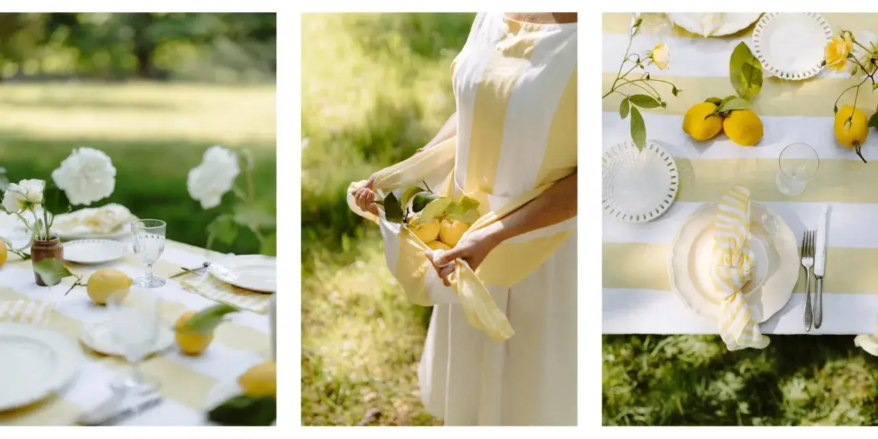 Sommerliche tischdeko mit zitronen und wei&szlig;en Rosen. Ein gelb-wei&szlig; gestreiftes Tischtuch bildet die Basis f&uuml;r ein festliches Picknick.