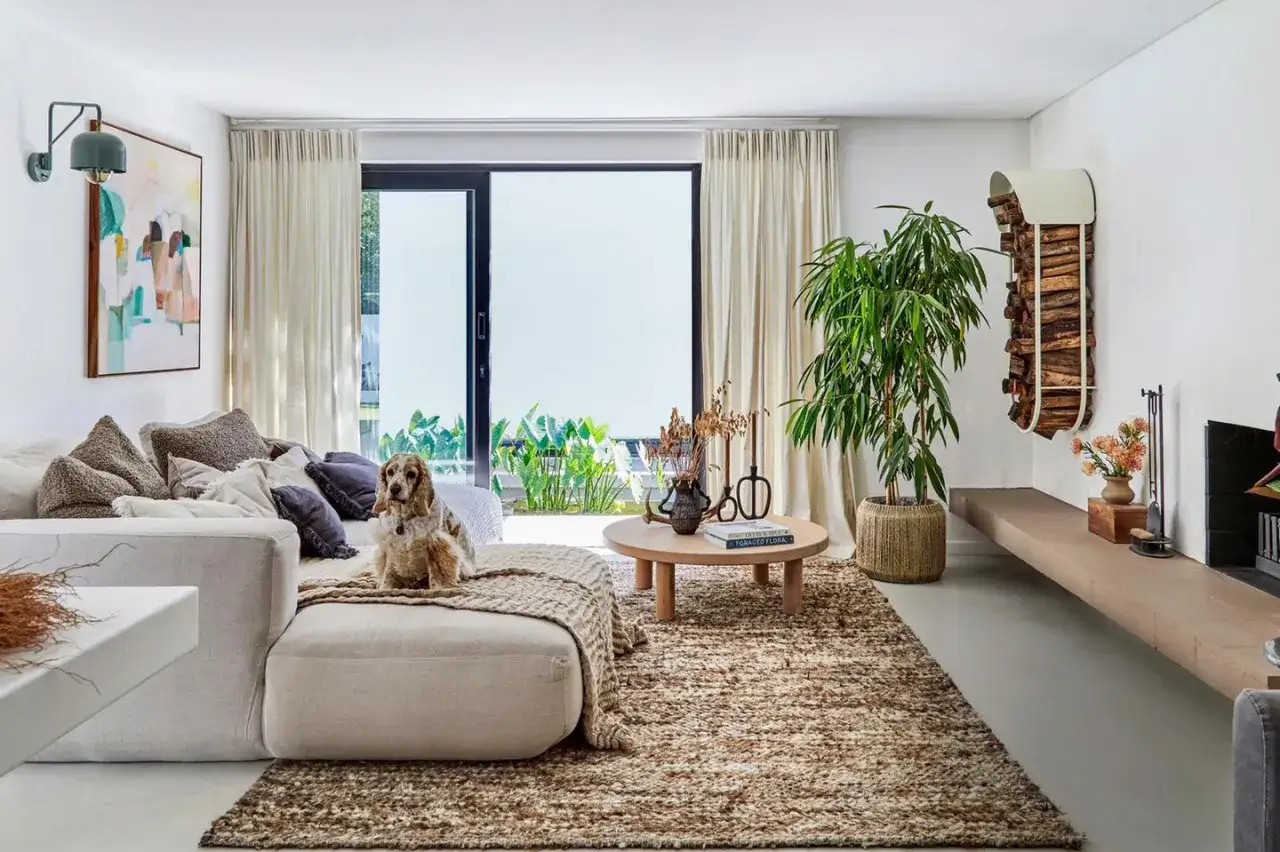 Gem&uuml;tliche Inspiration f&uuml;r die Einrichtung deines Wohnzimmers: Ein Hund sitzt auf einem Sofa, umgeben von nat&uuml;rlichen Texturen und Pflanzen.
